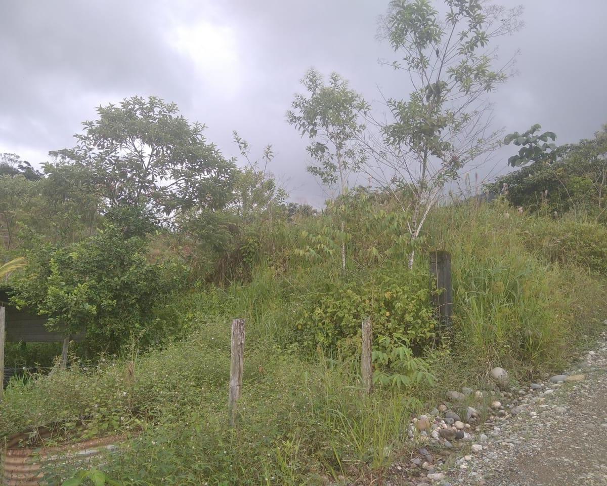 Lote En Venta, Parroquia Lumbaqui Cantóm Gonzalo Pizarro-Sucumbios