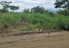Terreno en  la Calle Tercera Longitudinal, Sector Lotización Sara Cavero El Oro . Santa Rosa 200 m2
