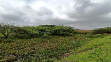 Terreno plano y delimitado – 3.000 m² en Las Brisas, Durán Lote 69