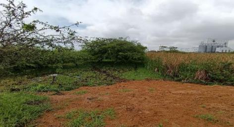 Terreno plano y delimitado – 3.000 m² en Las Brisas, Durán Lote 69