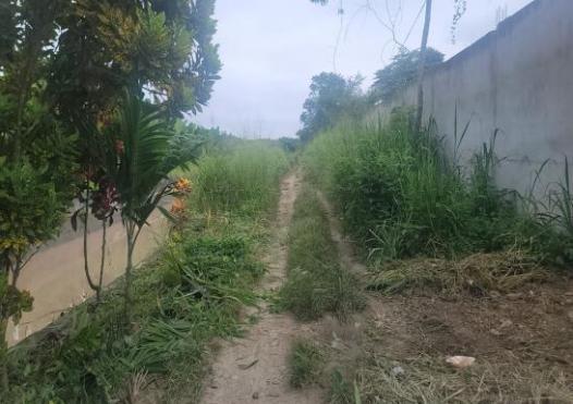 Predio rústico ubicado frente a la calle Velasco Ibarra