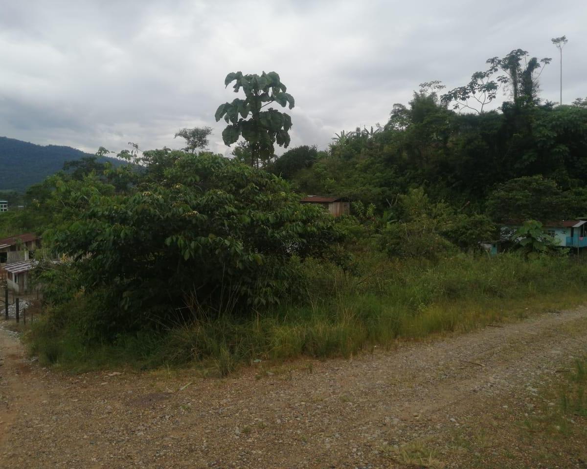 Lote En Venta, Parroquia Lumbaqui Cantóm Gonzalo Pizarro-Sucumbios