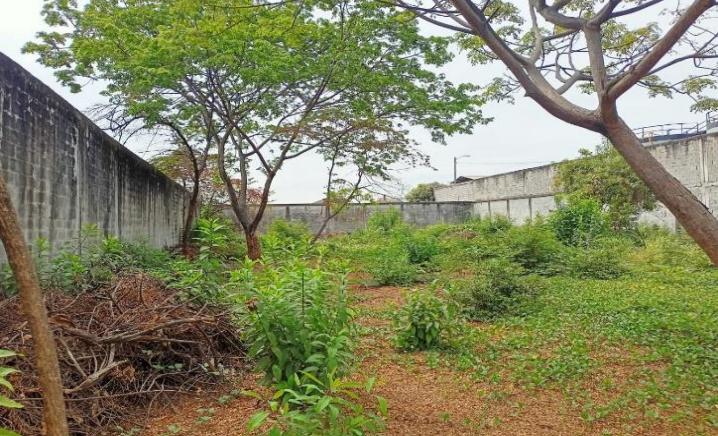 ¡Oportunidad de inversión en Guayaquil! Terreno en la Manzana77, Lotización Galavsa Pascuales,  Guayaquil