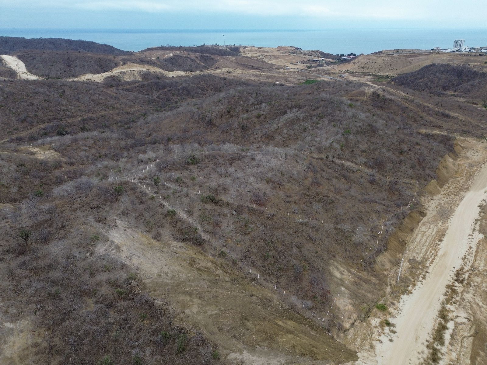 ¡Terrenos en venta en el Valle del Gavilán, Manta!