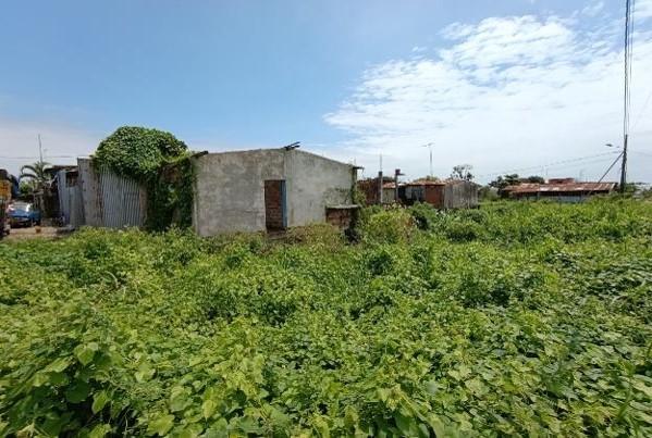Terreno en Venta en Babahoyo – Lotización Puerta Negra