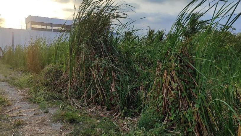 Terreno en venta en sector Castelnuovo, Parroquia Atacames Esmeraldas.