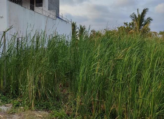 Terreno en venta en sector Castelnuovo, Parroquia Atacames Esmeraldas.