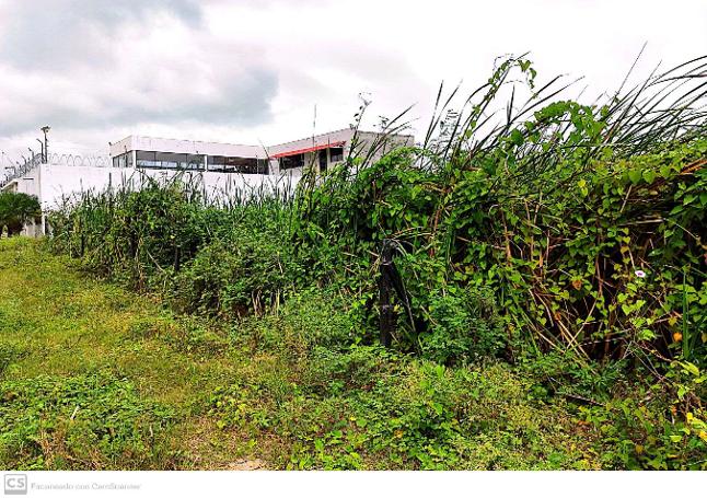 Terreno en venta en sector Castelnuovo, Parroquia Atacames Esmeraldas.