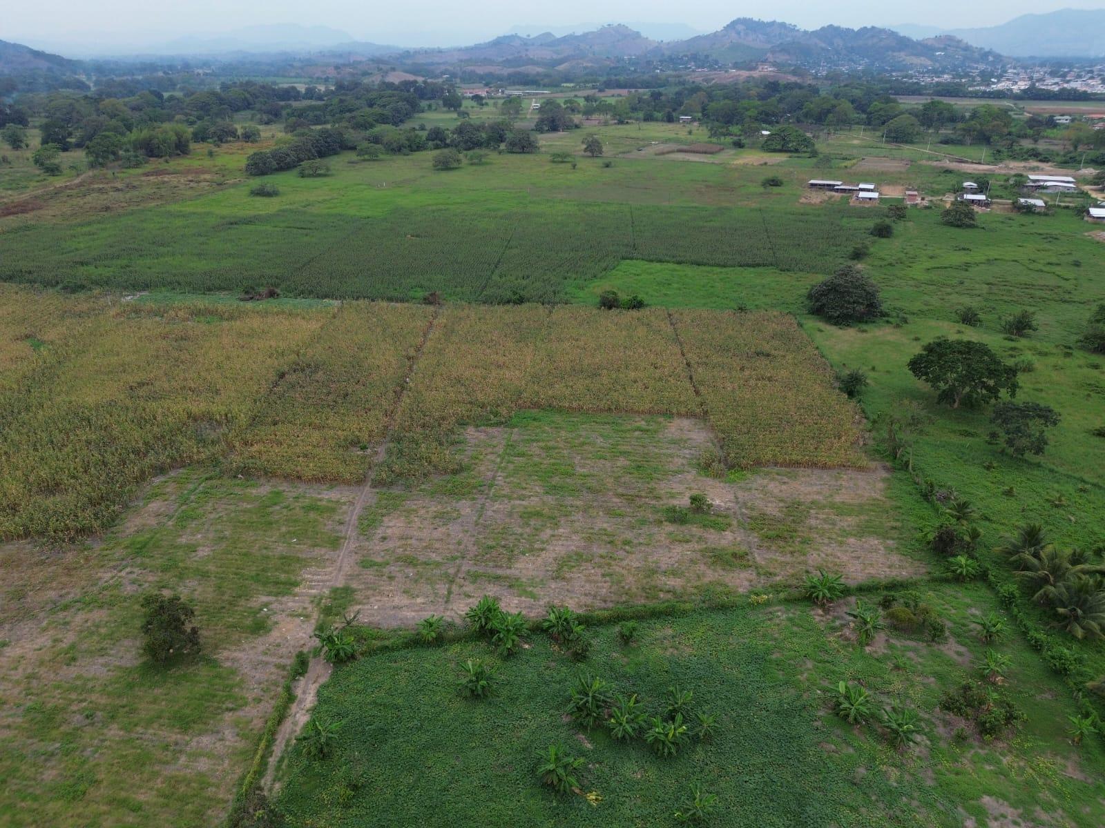 Venta de Terreno Urbano en Chone