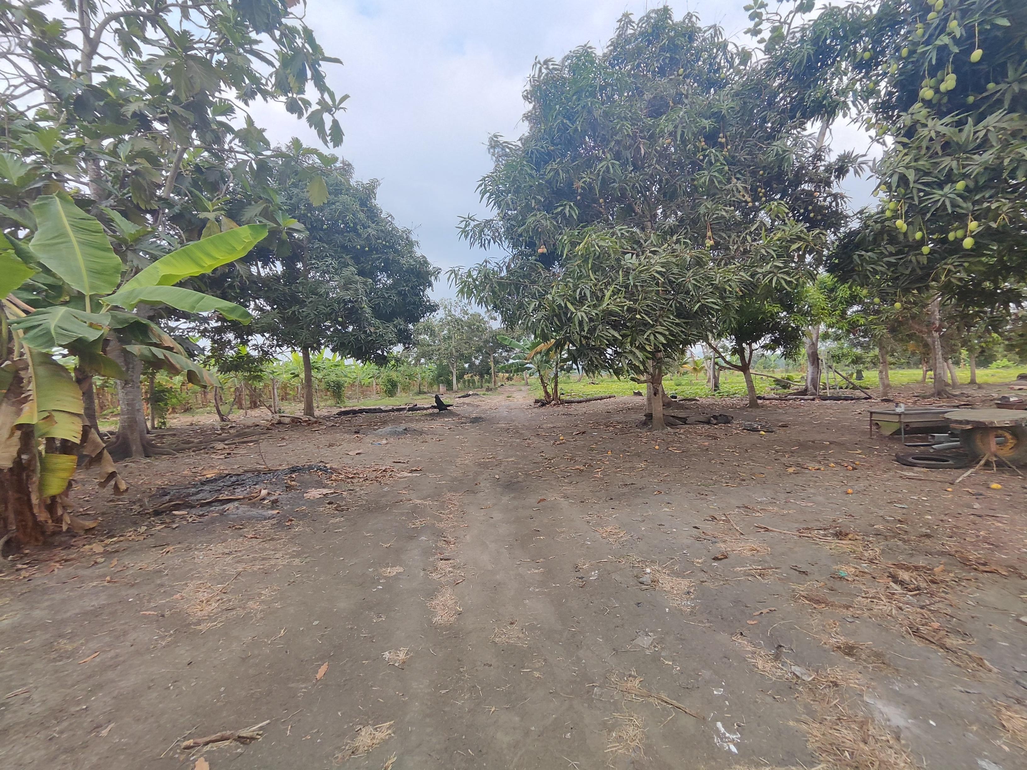 Terreno Residencial con Vivienda – Vía Chone-Boyacá, Chone