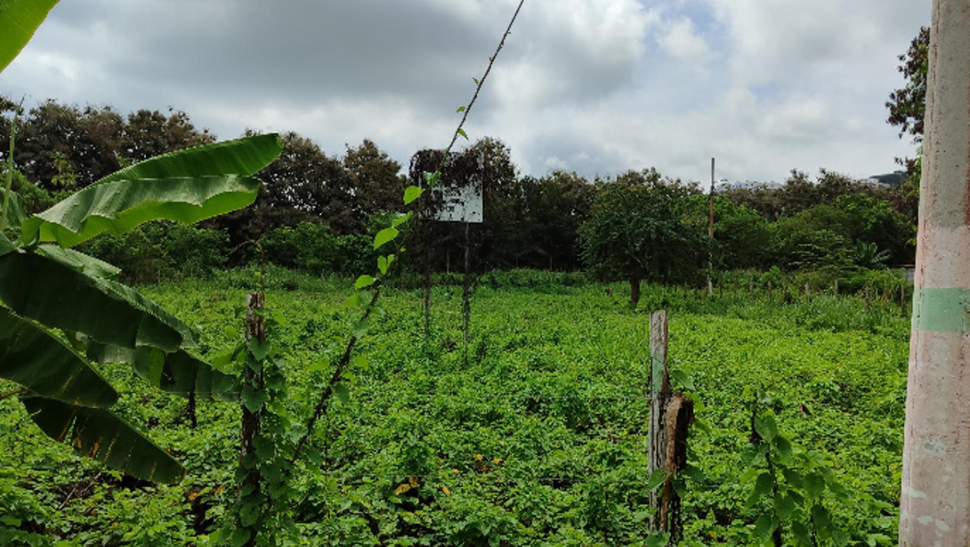 Lote de terreno en Same