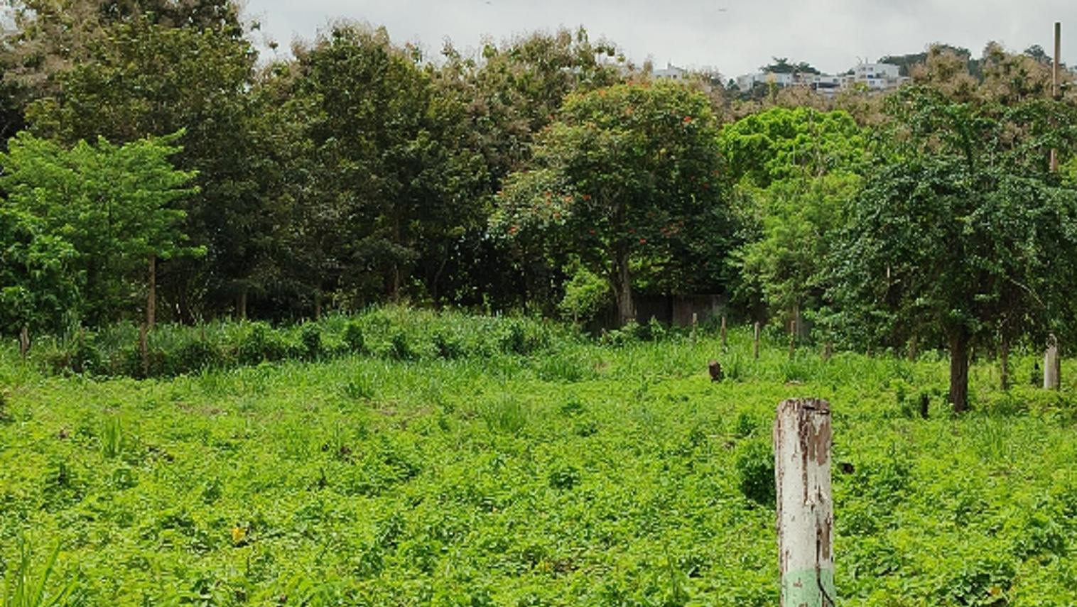 Lote de terreno en Same