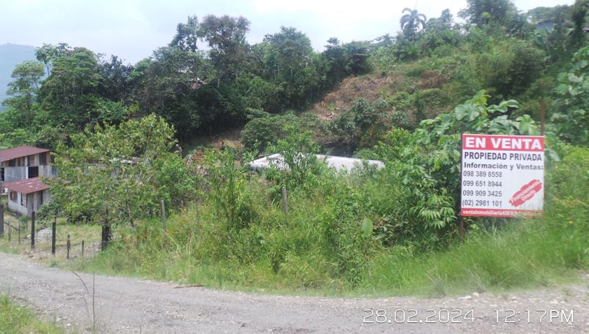 Lote En Venta, Parroquia Lumbaqui Cantóm Gonzalo Pizarro-Sucumbios