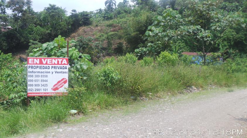 Lote En Venta, Parroquia Lumbaqui Cantóm Gonzalo Pizarro-Sucumbios