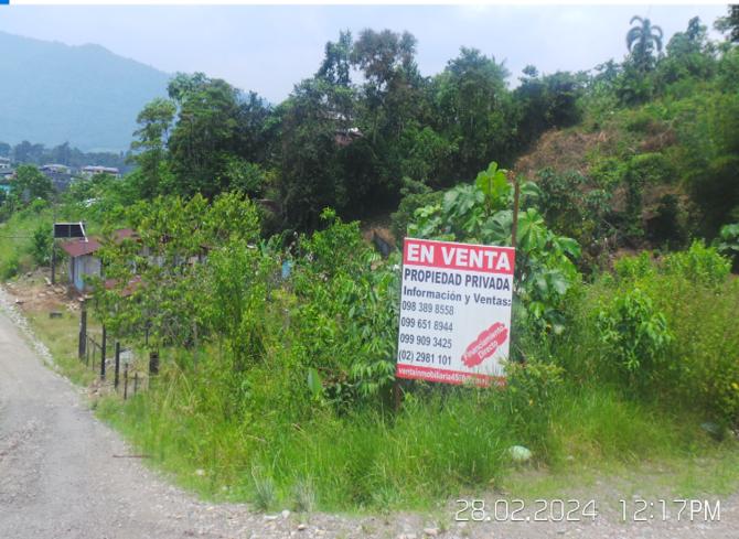 Lote En Venta, Parroquia Lumbaqui Cantóm Gonzalo Pizarro-Sucumbios