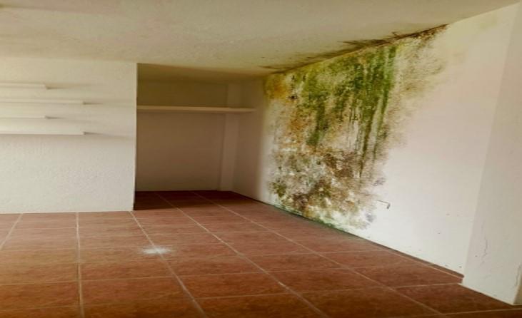 Vivienda Y Terreno Lote 15 En La Coop. De Vivienda Ciudad Nueva, Santo Domingo