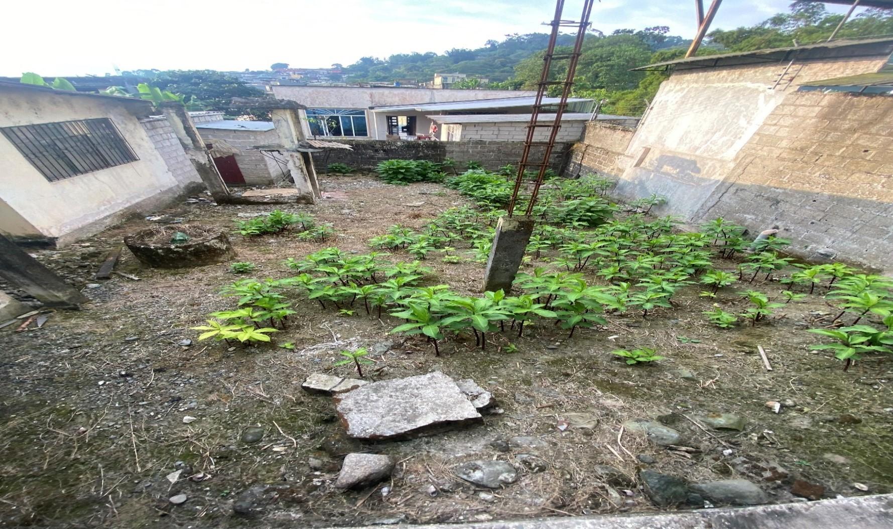Vivienda y Terreno en la Coop. de Vivienda Ciudad Nueva