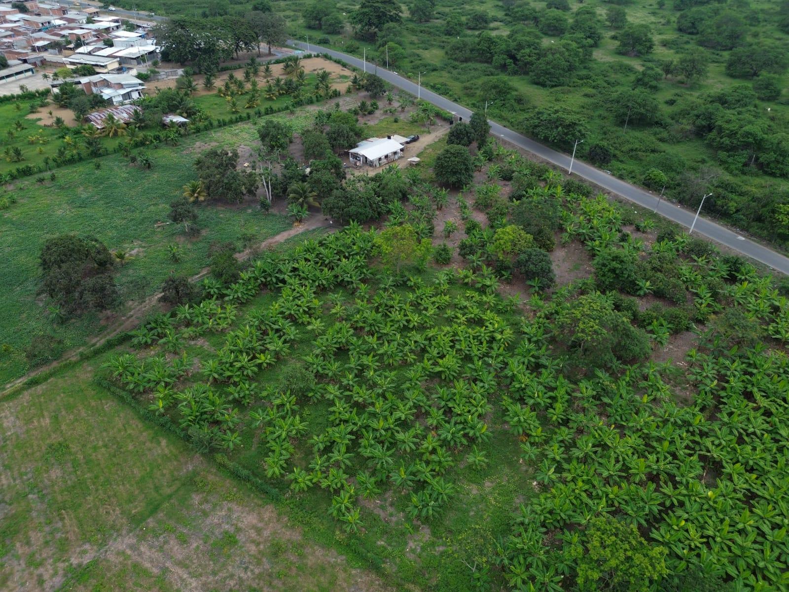 Terreno Urbano para Desarrollo – Vía Chone-Boyacá, Chone