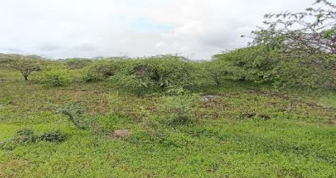 Terreno amplio con excelente frente – 2.866 m² en Las Brisas, Durán LOTE 58