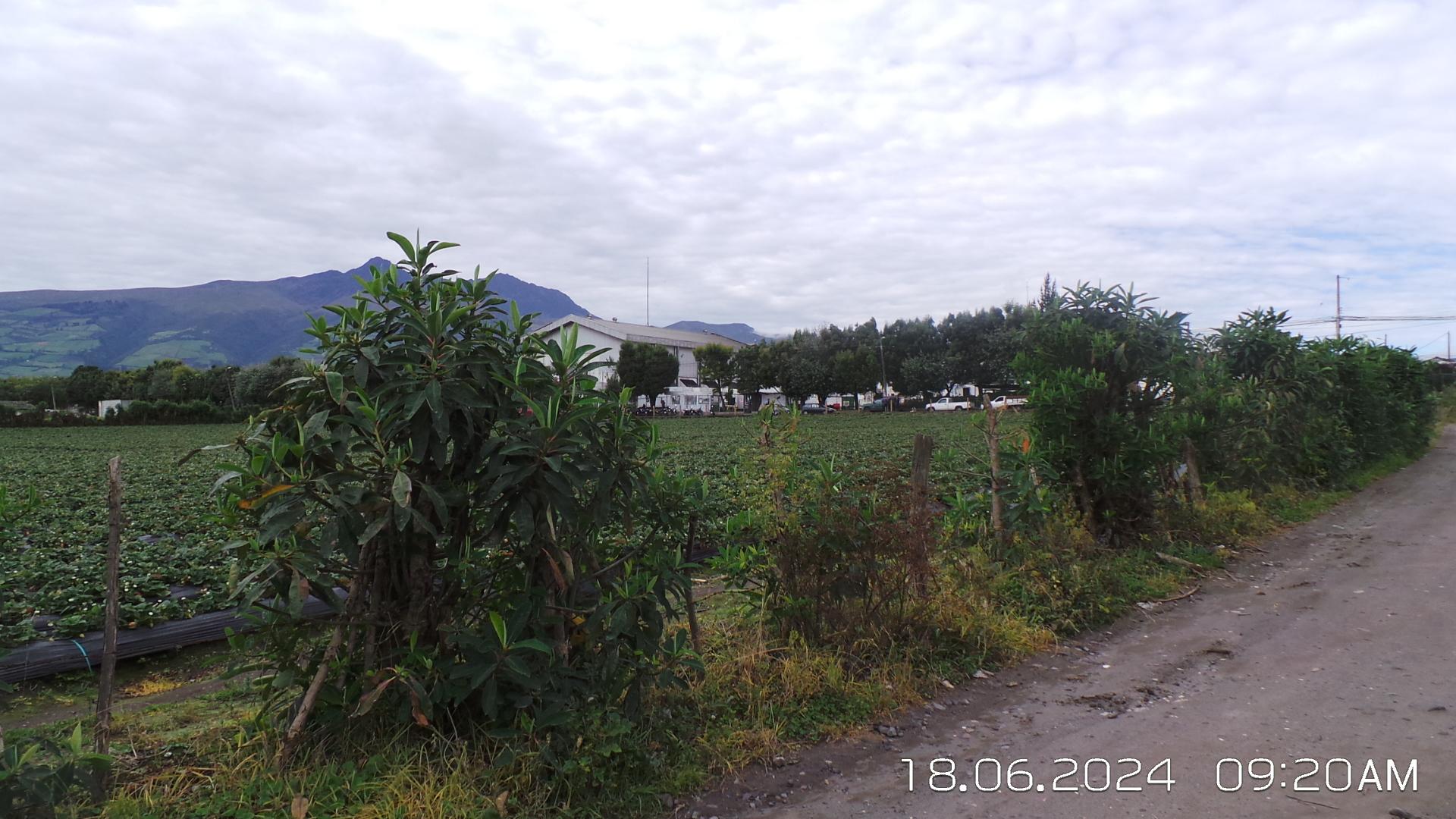 Terreno de venta en Aloasí