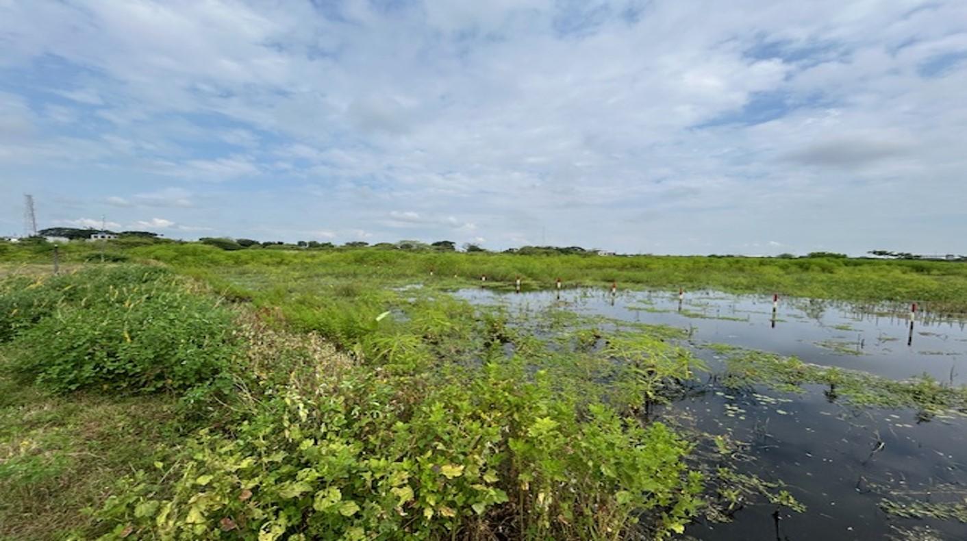 Terreno de 3.000 m² en zona industrial consolidada – Las Brisas, Durán LOTE 57