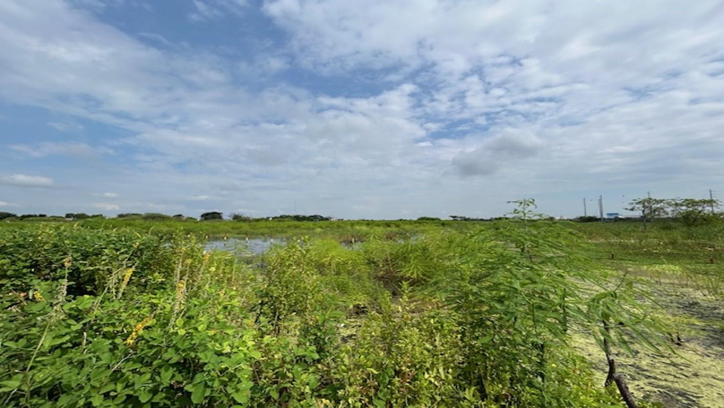 Terreno de 3.000 m² en zona industrial consolidada – Las Brisas, Durán LOTE 57