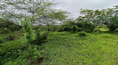 Terreno de 3.000 m² en zona industrial consolidada – Las Brisas, Durán LOTE 57