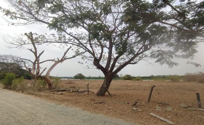 Terrenos en  Guayas, Daule, Nobol lotización los canales Km 5
