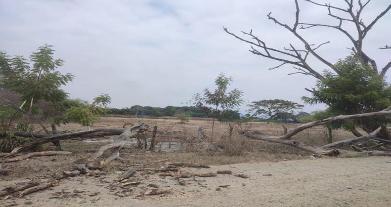 Terrenos en  Guayas, Daule, Nobol lotización los canales Km 5