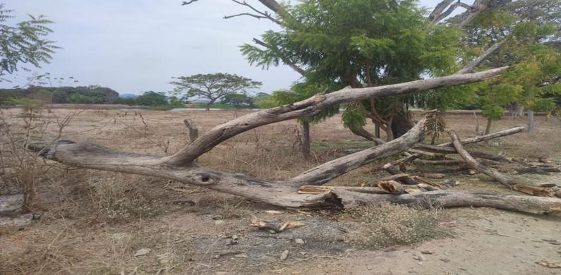 Terrenos en  Guayas, Daule, Nobol lotización los canales Km 5