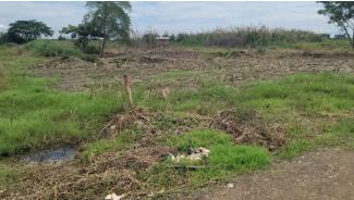 Terreno en  la Calle Tercera Longitudinal, Sector Lotización Sara Cavero El Oro . Santa Rosa 200 m2