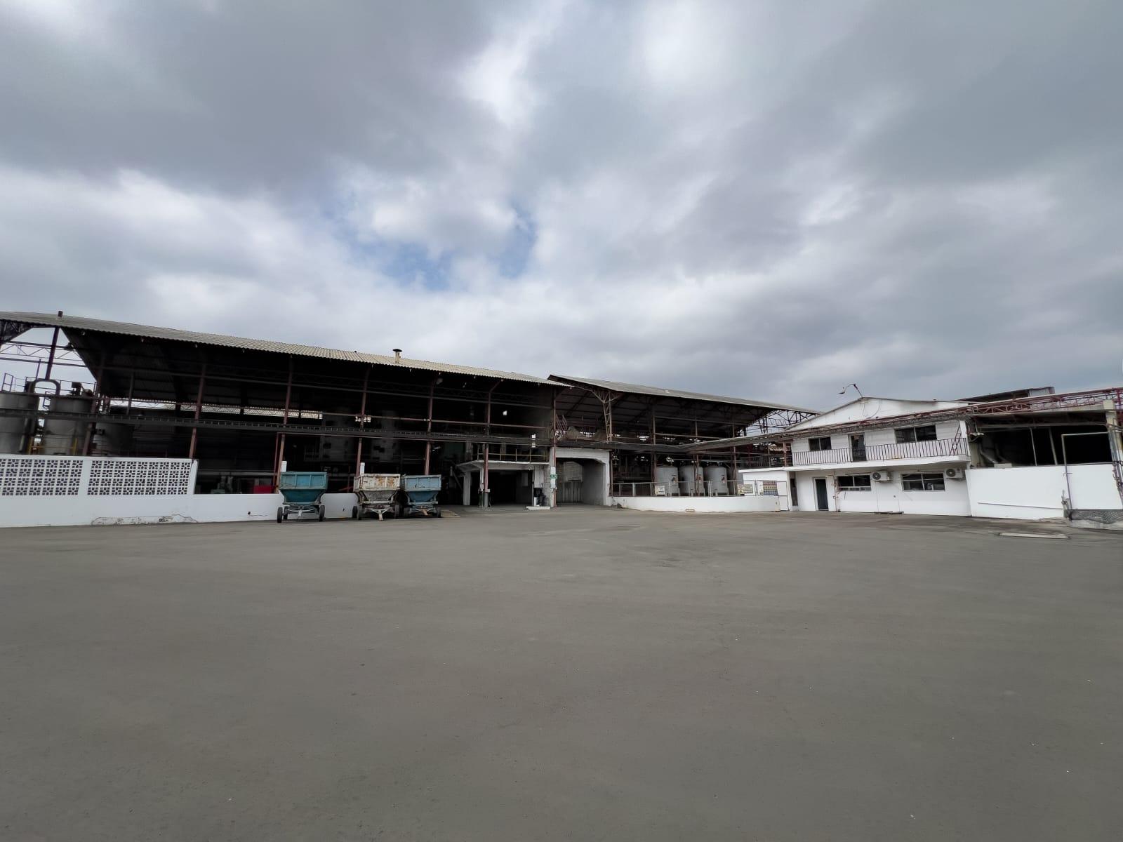 Planta de Extracción y Refinación de Aceite Vegetal en Venta