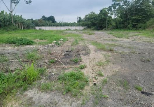 Predio rústico ubicado frente a la calle Velasco Ibarra