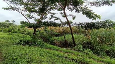 Oportunidad de inversión: terreno de 3.000 m² en sector industrial de Durán LOTE 68