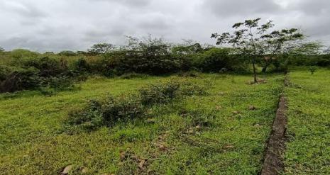 Terreno de 3.000 m² en zona industrial consolidada – Las Brisas, Durán LOTE 57