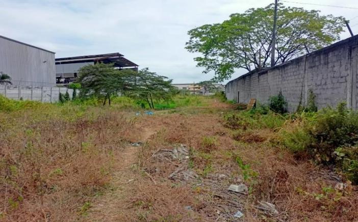 ¡Oportunidad de inversión en Guayaquil! Terreno en la Manzana77, Lotización Galavsa Pascuales,  Guayaquil