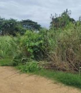Terreno en  la Calle Tercera Longitudinal, Sector Lotización Sara Cavero El Oro . Santa Rosa 200 m2