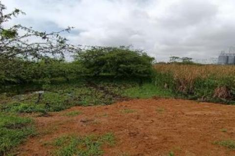 Terreno plano y delimitado – 3.000 m² en Las Brisas, Durán Lote 69