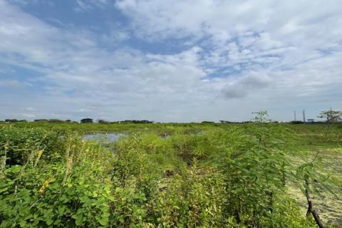 Terreno de 3.000 m² en zona industrial consolidada – Las Brisas, Durán LOTE 57