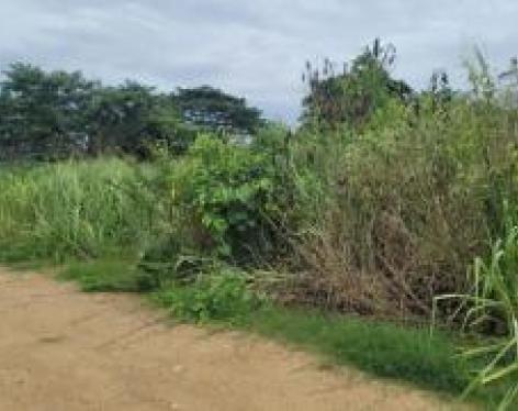 Terreno en  la Calle Tercera Longitudinal, Sector Lotización Sara Cavero El Oro . Santa Rosa 200 m2