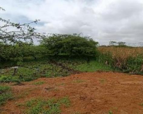 Terreno plano y delimitado – 3.000 m² en Las Brisas, Durán Lote 69