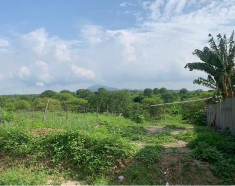Terreno Industrial Estratégico en Jaramijó – ¡6.500 m² con Alto Potencial de Desarrollo!