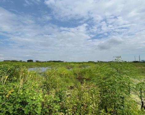 Terreno de 3.000 m² en zona industrial consolidada – Las Brisas, Durán LOTE 57