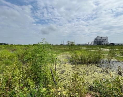Terreno amplio con excelente frente – 2.866 m² en Las Brisas, Durán LOTE 58