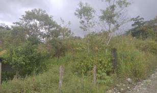 Lote En Venta, Parroquia Lumbaqui Cantóm Gonzalo Pizarro-Sucumbios