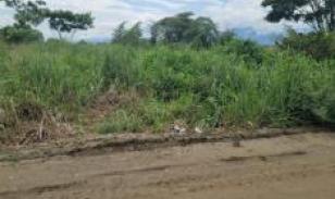 Terreno en  la Calle Tercera Longitudinal, Sector Lotización Sara Cavero El Oro . Santa Rosa 200 m2