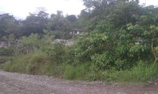 Lote En Venta, Parroquia Lumbaqui Cantóm Gonzalo Pizarro-Sucumbios