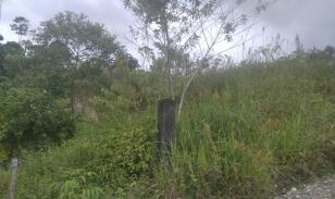 Lote En Venta, Parroquia Lumbaqui Cantóm Gonzalo Pizarro-Sucumbios