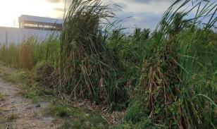 Terreno en venta en sector Castelnuovo, Parroquia Atacames Esmeraldas.