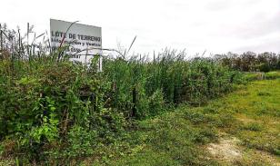 Terreno en venta en sector Castelnuovo, Parroquia Atacames Esmeraldas.